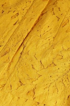 Ted Baker Yellow Mini Lace With Oversized Pockets Shirt Dress -TED BAKER Sales Store unnamed file 1353