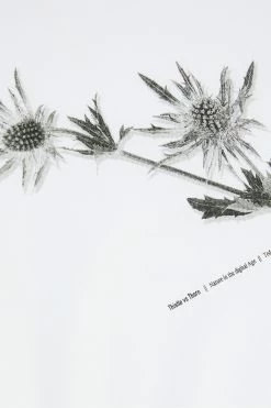 Ted Baker White Wishaw Short Sleeve Graphic T-Shirt -TED BAKER Sales Store unnamed file 2382