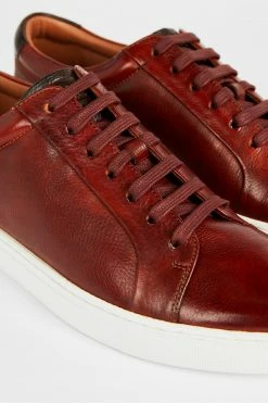 Ted Baker Brown Udamo Leather Trainers 11 Ted Baker Brown Udamo Leather Trainers -TED BAKER Sales Store unnamed file 3554